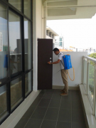 对酒店进行四害防治处理